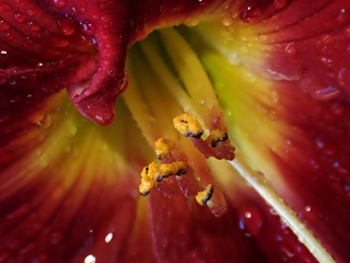 P1215474a.jpg